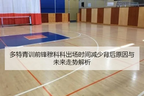 多特青训前锋穆科科出场时间减少背后原因与未来走势解析