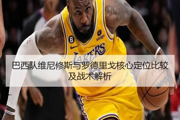 巴西队维尼修斯与罗德里戈核心定位比较及战术解析