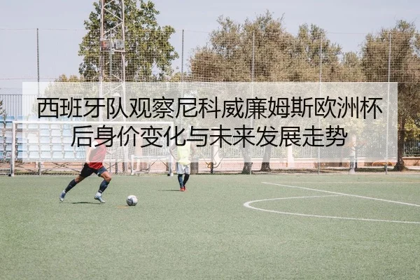 西班牙队观察尼科威廉姆斯欧洲杯后身价变化与未来发展走势